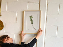 Load image into Gallery viewer, Blue Gum Stem 1/1