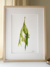 Load image into Gallery viewer, Hanging Gum Leaves 1/1
