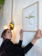 Load image into Gallery viewer, Wattle 1/1