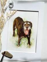 Load image into Gallery viewer, Illustrative Pet Portraits