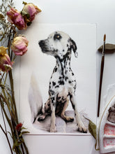 Load image into Gallery viewer, Illustrative Pet Portraits