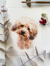 Load image into Gallery viewer, Illustrative Pet Portraits
