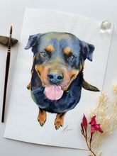 Load image into Gallery viewer, Illustrative Pet Portraits