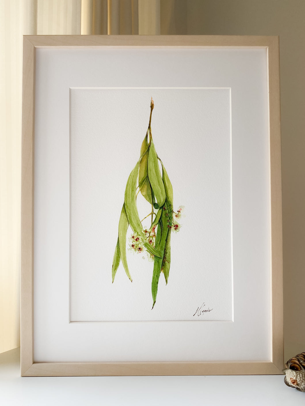 Hanging Gum Leaves 1/1